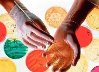 Микробиологический контроль: как лабораториям снизить совокупные риски