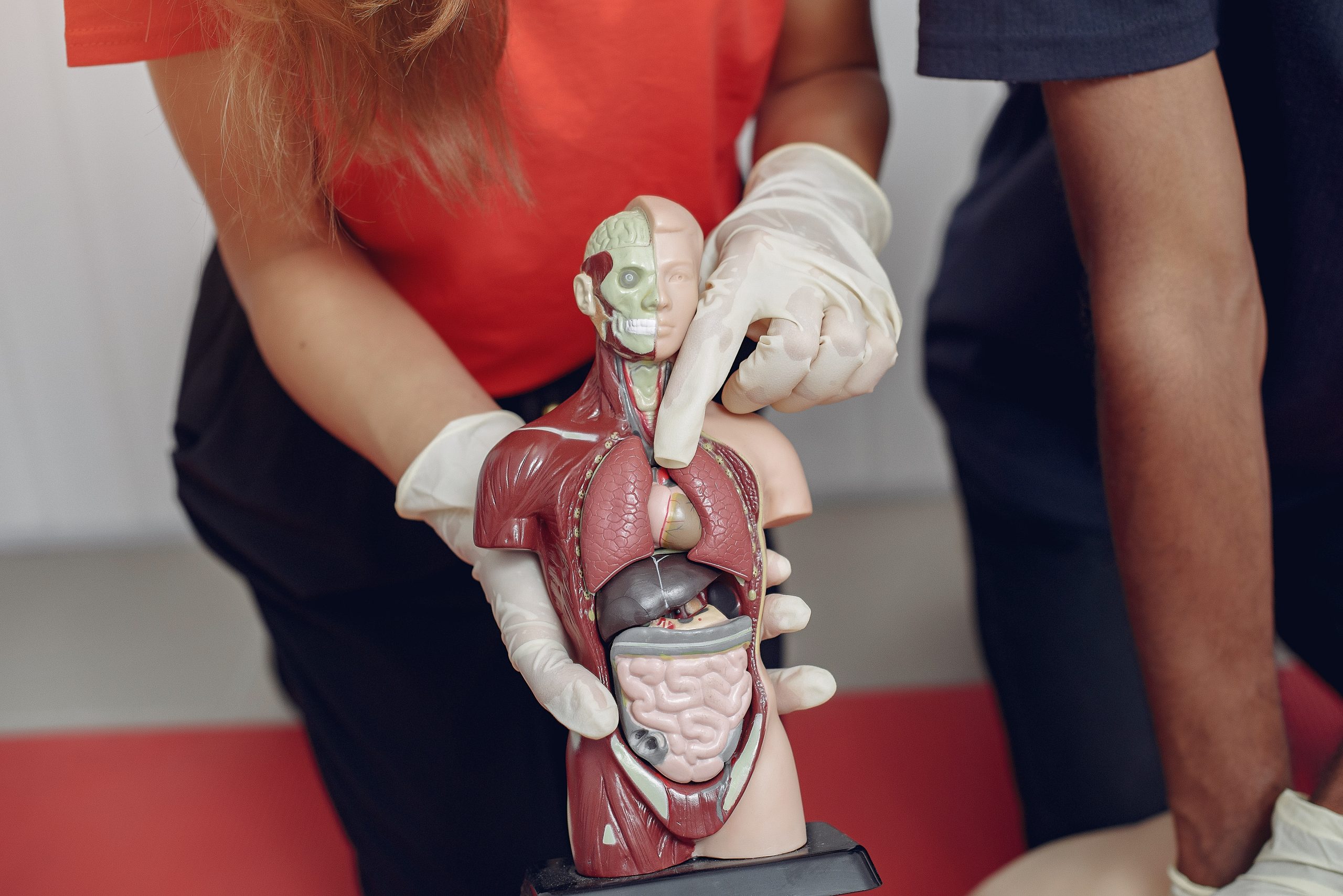 Students learn to provide medical care.